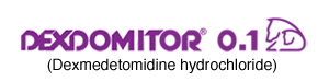 dexdomitor